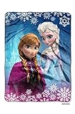 The Northwest Company Disney's Frozen 'Frozen Land' 60 by 80-Inch Plush Raschel Throw Blanket, Twin 