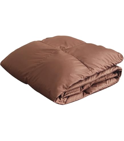 Amazon｜モリリン 日本製 洗えるダウンケット シングル 2枚