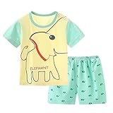 【SEBLES】ベビー服 ベビー 赤ちゃん 男の子 女の子 半袖 Ｔシャツ 短パン パンツ シャツ セット 夏 キャラクター プリント 可愛い 涼しい コットン 綿(タイプH,130cm)