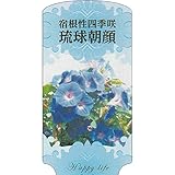 【ラベル のみ】【1000枚】 AC 3型 宿根性四季咲琉球朝顔 ASAGAO-002 ポリポット用 名札 アンドウケミカル カ施 代不