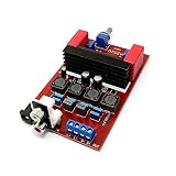 LILLYエレクトロニクス YJ TA202020W+20WクラスDアンプボード