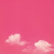 518bQVqqxLL._AC_UL210_SR210,