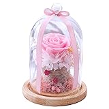 GIFT GARDEN プリザーブドフラワー 薔薇 お祝い ギフト 1輪 ピンク