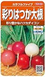 サカタのタネ 実咲野菜5370 カラフルファイブ 彩りはつか大根 00925370