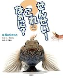 海の生きもの (せんせい! これなあに?) 海の生きもの (せんせい! これなあに?)