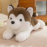 犬 大きい ぬいぐるみ 抱き枕 犬 犬ぬいぐるみ ハスキー クッション 動物 アニマルお祝い ふわふわぬいぐるみ 40cm アニマル A4 クッション プレミアム 犬のぬいぐるみ ぬいぐるみ 大きい 犬 アニマル クッション