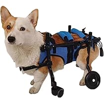 518e14tslDL._AC_UL210_SR210,