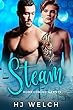 Steam (Homecoming Hearts Book 4) (English Edition)