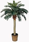 ほぼ自然5043 Sago Palm Treeシルク、4-feet、グリーン