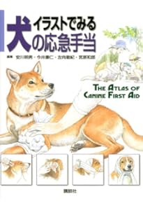 イラストでみる犬の病気 (KS農学専門書) | 小野 憲一郎, 今井 壯