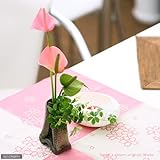 益子焼 ツイン花入 小