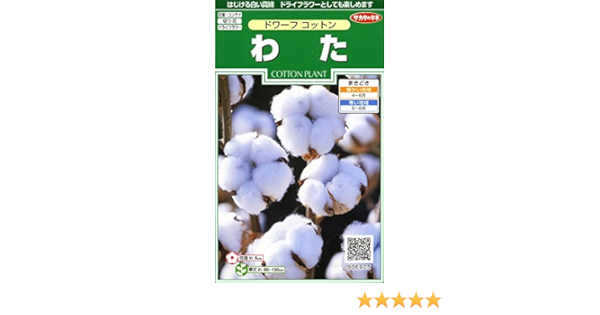Amazon サカタのタネ 実咲花6905 わた ドワーフ コットン 花