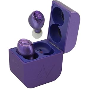 ゲスの極み乙女。× AVIOT TE-D01gv-gko Bluetooth イヤホン ワイヤレスイヤホン iPhone Android 防水 IPX7 メンバー4人による10種類のボイスアシスタント