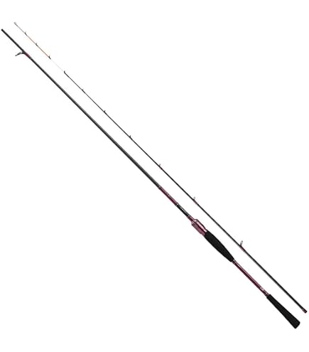 Amazon | ダイワ(DAIWA) 21 紅牙 テンヤゲーム エア AGS H/XH-220SMT