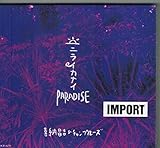 �j���C�J�i�C PARADISE