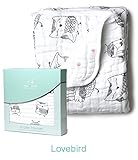 エイデンアンドアネイ ミニブランケット 厚手 おくるみ ドリームブランケット 出産祝い ガーゼケット 【並行輸入品】 Lovebird