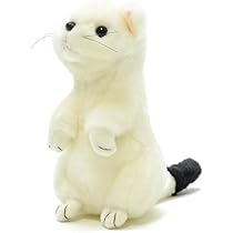 Amazon.co.jp: AQUA ぬいぐるみ ネイチャー オコジョ S 00100014