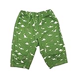 【SiShuNon/FARM】ダイナソー6分パンツ ファーム キッズ ダイナソー 総柄 恐竜 6分丈 ハーフパンツ 140 8 グリーン