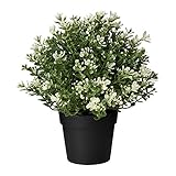 IKEA/イケア　FEJKA：人工観葉植物22 cm　タイム（403.751.67）
