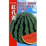 スイカ 種 【 紅孔雀 (べにくじゃく) 】 種子 小袋（約8粒）