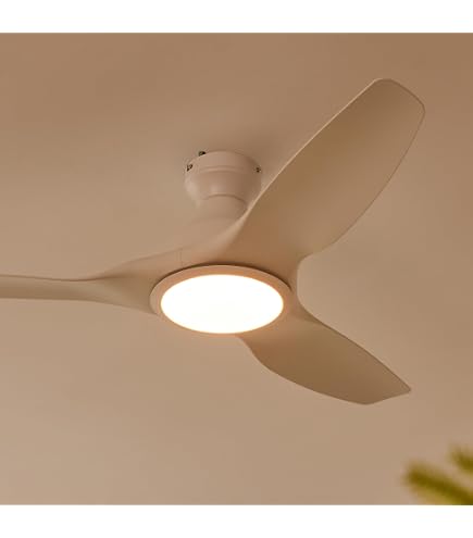 TALOYA シーリングファンライト Φ106.6cm 調光 調色 Amazon.co.jp