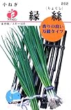 フクカエン 小ねぎ　縁絲（りょくし）の種（タネ）
