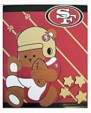 San Francisco 49ers Royal Plush Baby Blanket