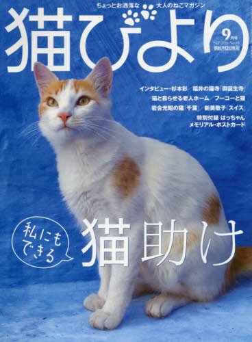 猫びより 2016年 09 月号 [雑誌]