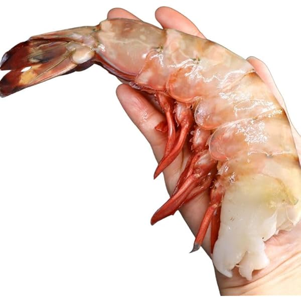 Amazon.co.jp: 超超超特大サイズ 約24尾～32尾入り 6/8サイズ 天然シー