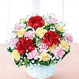 花キューピット 地域限定【母の日当日】おまかせアレンジ 3240円