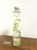 ハーバリウム 爽やか ～デザインボトル～ グリーン