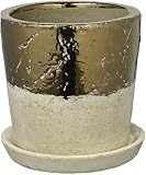ダルトン TERRACOTTA BICOLOR POT M テラコッタ バイカラー ポット M G20-0195M