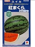 スイカ　　紅まくらタキイ交配　（グリーンデポ）