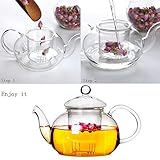 LuxBene(TM)注入器はコーヒー茶葉のハーブクラシック400ML / 600ミリリットル/ 800ミリリットル/ 1000MLの＃81370で実用的な耐熱ガラスのティーポット