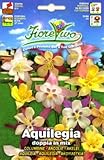 【種子】【HORTUS社】西洋オダマキ[a084]