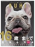 BUHI 2018年夏号