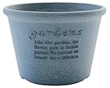 八幡化成 アーブル エコポット浅型 NV 6号 231523