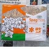 ニュージーランド産 高級水苔 1kg(約80L)