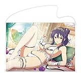 シノビマスター 閃乱カグラ NEW LINK B2タペストリー 凛(乳籍祭)