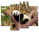 SmartWallArt – 4パネル壁アートペイントBear画像キャンバスのStretched by木製frames-for Living Room Decorまたはギフトとして SWA-A-026