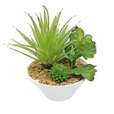 The perseids ミニ多肉植物 人工観葉植物 自然に親しむ 飾り物 癒しの グリーン 多肉4点セット 【造花】 (Model 4)