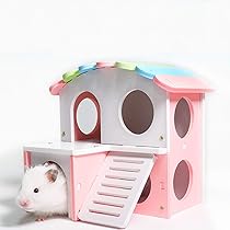 518tp5fOroL._AC_UL210_SR210,