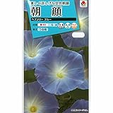 [タキイ 花タネ]アサガオ（イポメア）：ヘブンリーブルー 5袋セット[朝顔の人気品種] ノーブランド品