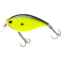 518uWBoKCCL._AC_UL210_SR210,