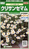 サカタのタネ 実咲花6310 クリサンセマム ノースポール 10袋セット