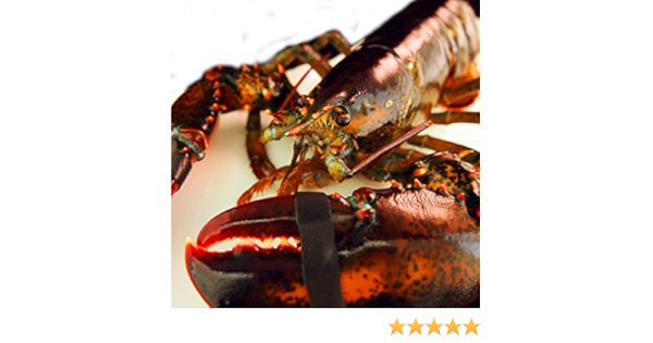 Amazon 築地魚群 活オマール海老 ロブスター 1kg前後サイズ アメリカ カナダ産 1尾 築地魚群 エビ 通販 Amazon 築地魚群 活オマール海老 ロブスター 1kg前後サイズ アメリカ カナダ産 1尾 築地魚群 エビ 通販