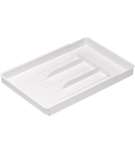 Amazon.co.jp: 昔の大判小判 原寸大見本ガラスケース入り