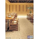 サンゲツ 店舗用クッションフロア テラゾー 柄番CM-2254 サイズ 182cm巾×1m 〔日本製〕