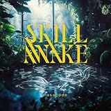 SKILLAWAKE (通常盤) - PassCode (特典なし)