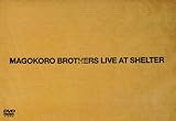 LIVE AT SHELTER